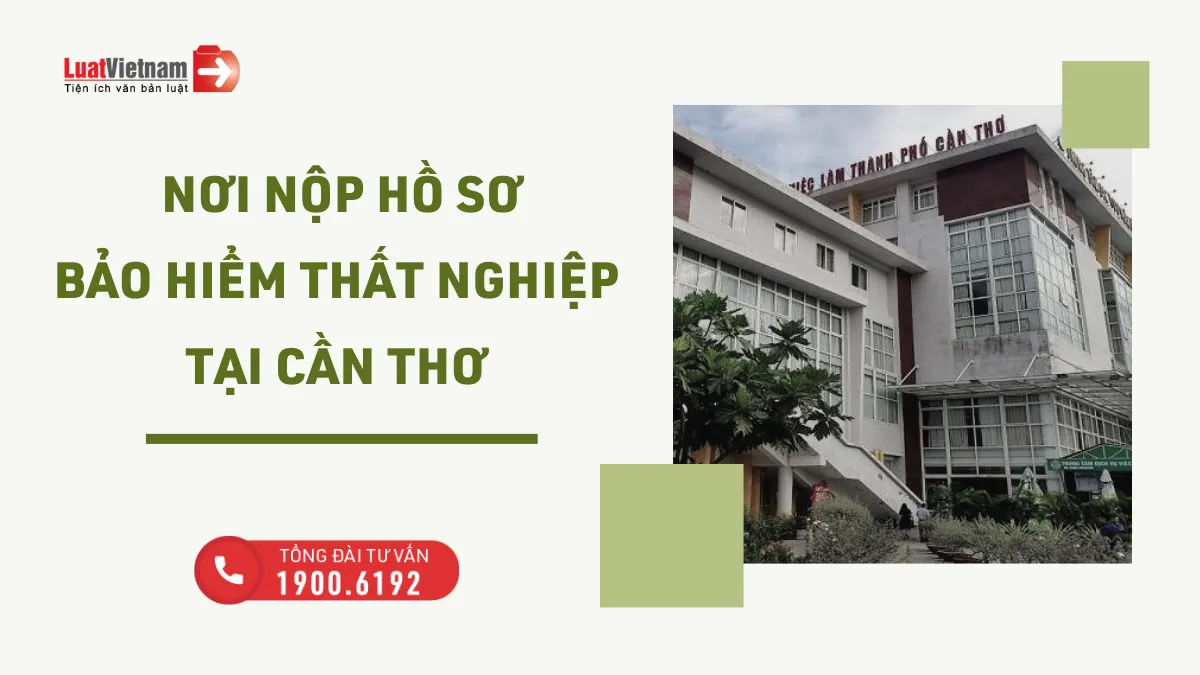 bảo hiểm thất nghiệp cần thơ bao hiem that nghiep can tho