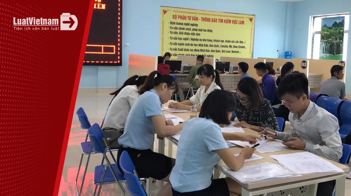 Địa chỉ bảo hiểm thất nghiệp Thủ Đức ở đâu? Địa chỉ bảo hiểm thất nghiệp Thủ Đức ở đâu?