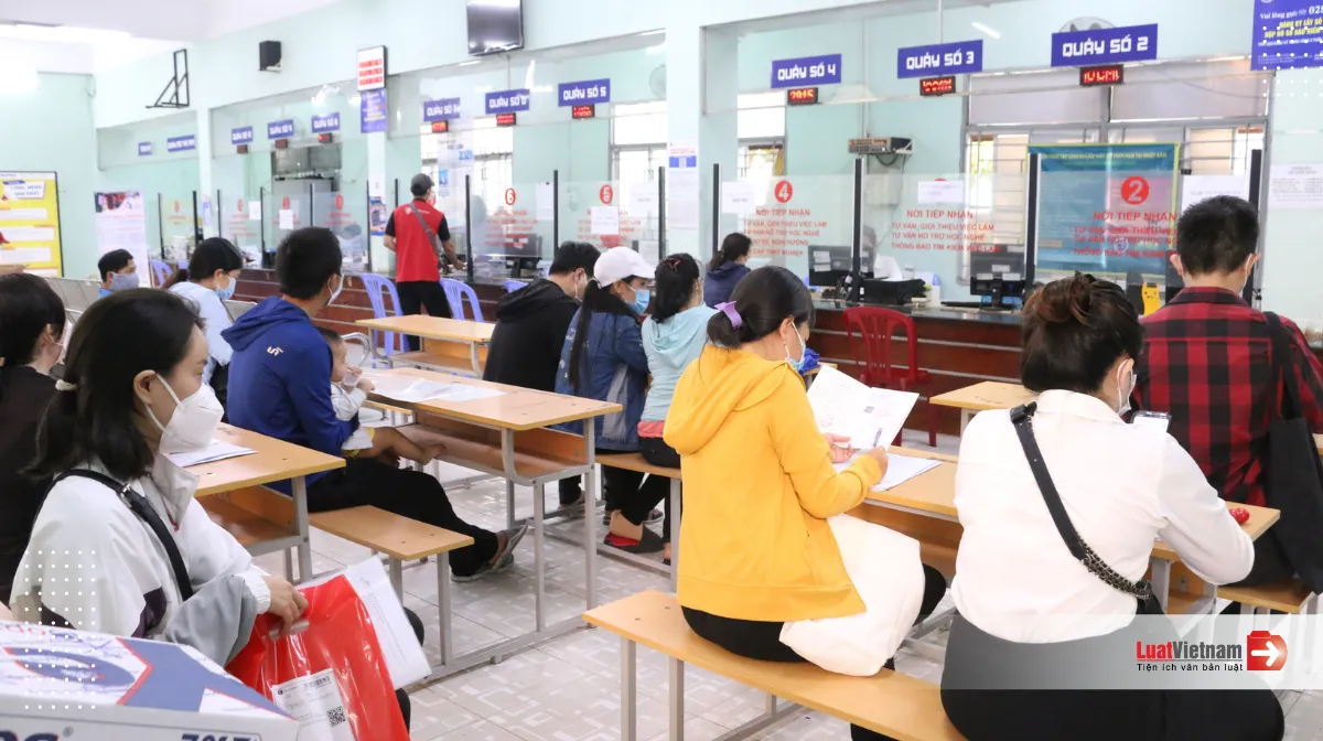 Nhờ người thông báo tìm kiếm việc làm có được chấp nhận?